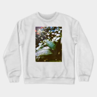 Morning Dew Crewneck Sweatshirt